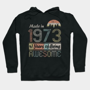 Vintage 1973 Made In 1973 47th Birthday 47 Years Old Gift Hoodie